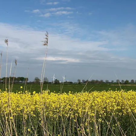 Tief 10 Meeresbrise 402 *