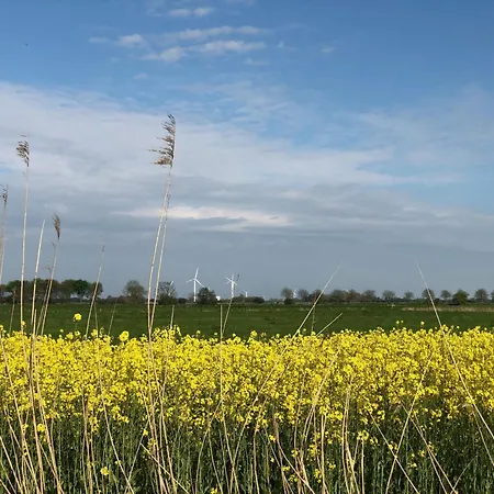 Tief 10 Meeresbrise 402 *