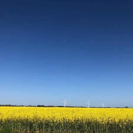 Tief 10 Meeresbrise 402 *