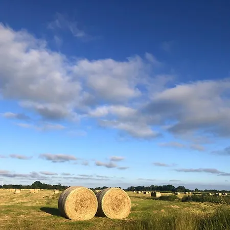 Lejlighed Tief 10 Meeresbrise 402