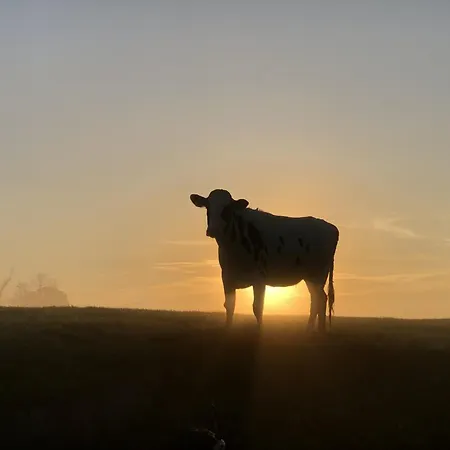Tief 10 Meeresbrise 402 Lejlighed *