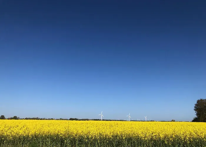 Tief 10 Meeresbrise 402 *