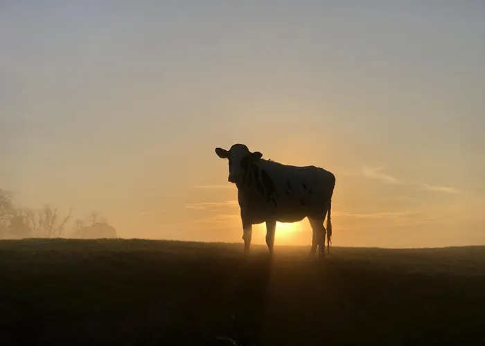 Tief 10 Meeresbrise 402 Lejlighed *